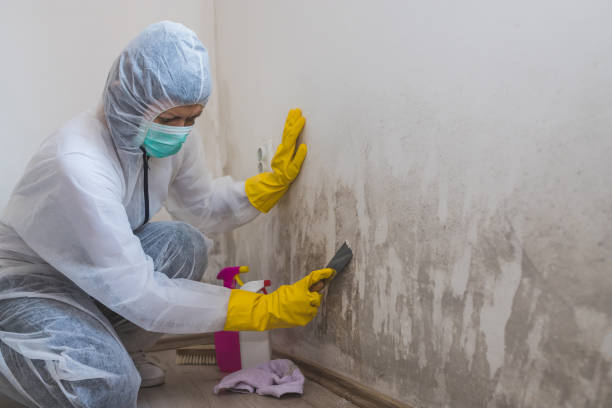Best Crawl Space Mold Remediation  in Ottumwa, IA
