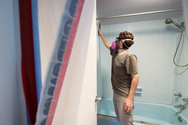 Best Environmental Consulting for Mold Prevention  in Ottumwa, IA