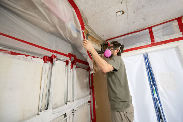 Best Air Quality Testing for Mold Spores  in Ottumwa, IA