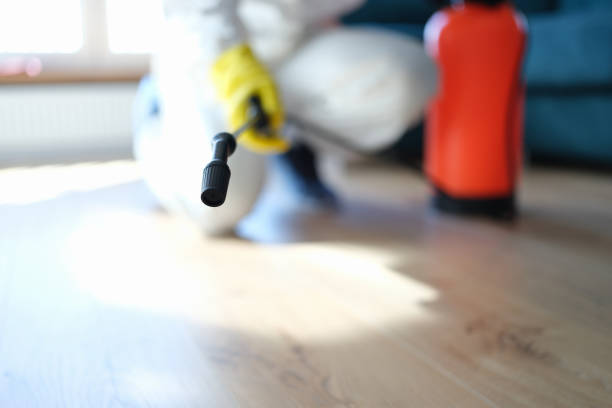 Best Attic Mold Removal  in Ottumwa, IA