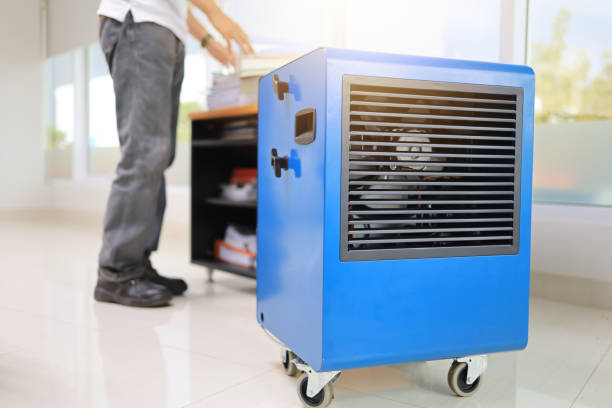 Best Airborne Mold Testing  in Ottumwa, IA