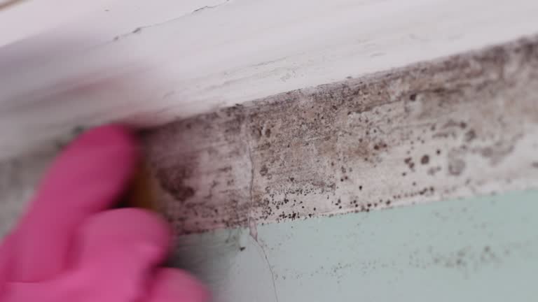 Best Post-Remediation Verification Testing  in Ottumwa, IA